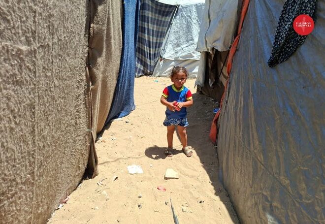 ‘The Tent is a Blazing Oven’: Gaza’s Displaced Endure a Brutal Summer