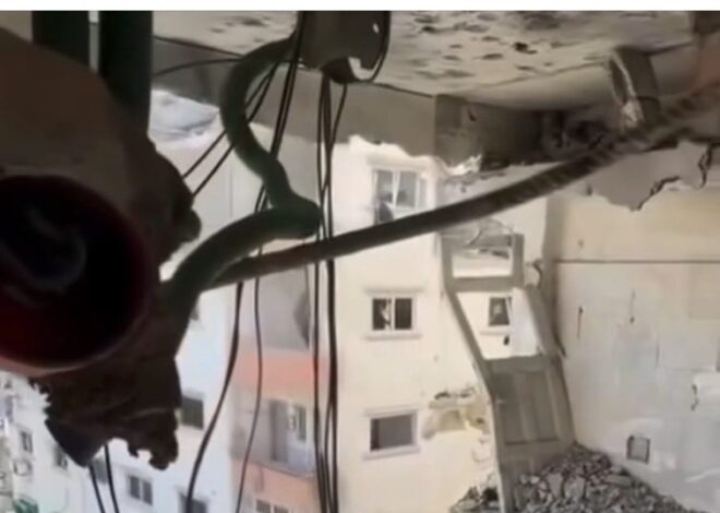 The nameless, uncounted, undocumented dead of Gaza.