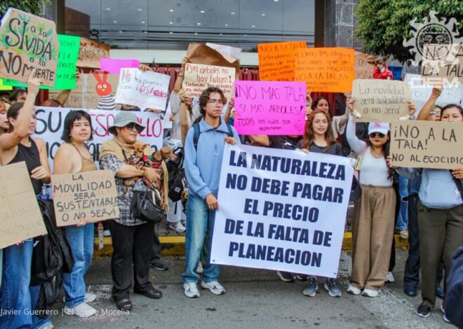 Activists in Morelia, Mexico Are Fighting to Save 613 Trees – Find Out Why