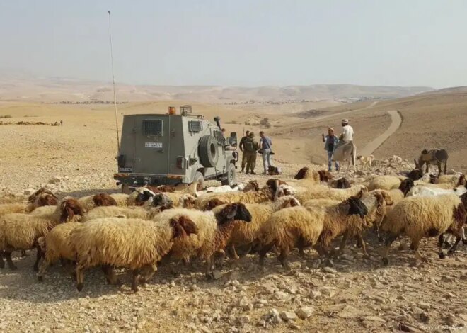 Israeli occupiers attack Palestinian homes, injure family, steal sheep in Nablus – Middle East Monitor