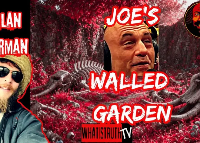 #320 What The Elephant Graveyard Missed W/ Alan Berman #Rogan