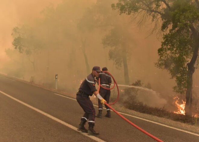 Morocco issues extreme wildfire warnings in 6 provinces – Middle East Monitor