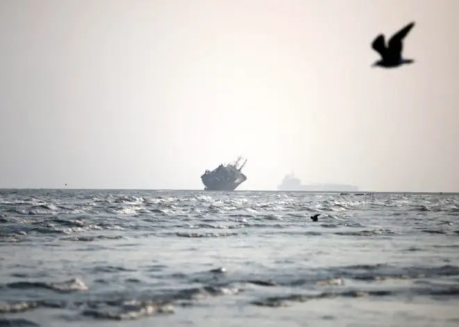 Cargo ship catches fire after being hit by ‘unknown’ projectile in Strait of Hormuz, one killed – Middle East Monitor