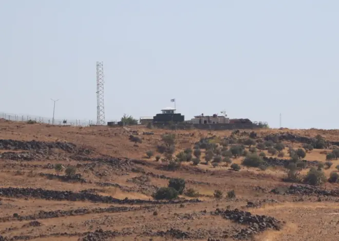 Israeli army strikes shepherd, runs over sheep in southern Syria’s countryside – Middle East Monitor