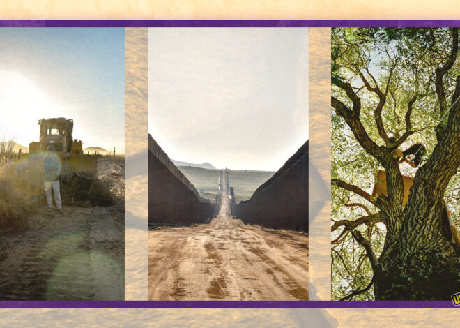 Treesit Blocks US-Mexico Border Wall Construction for Six Weeks in Arizona