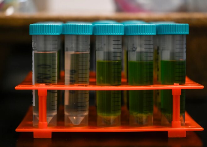 StayCon Marijuana Company Recalls Dozens of Contaminated Products — ProPublica