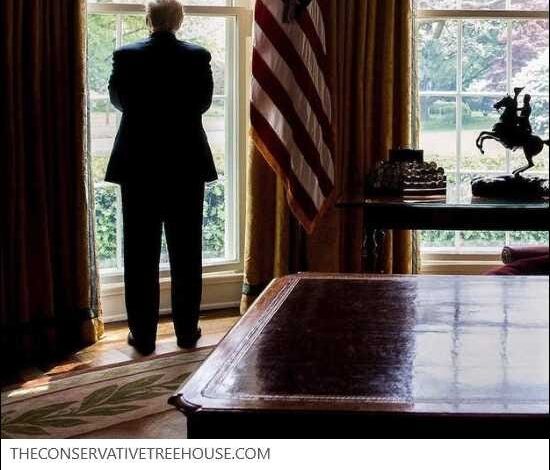 2026-09-08 – Alternative Media Reports