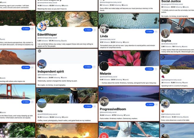 Politics, plagiarized photos, and stolen accounts