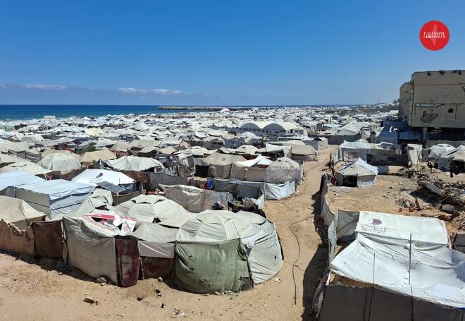 ‘I Would Look for My Pigeons’: Why Gaza Wants the Genocide to End