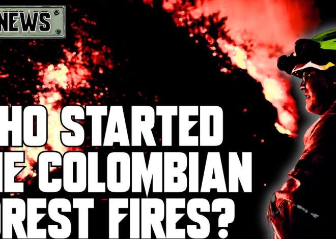 The Colombian Forest Fires