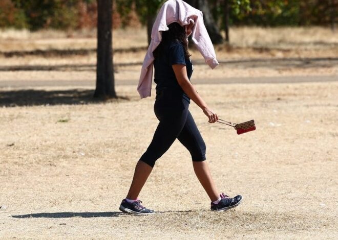 Listen: BBC asks, ‘What will I tell my grandkids about the summer of ’26?’ How much I miss it