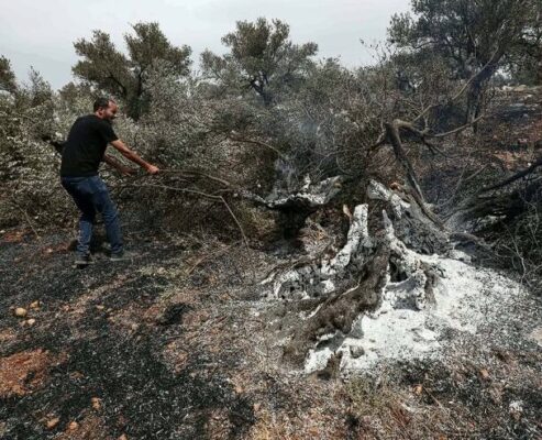 Israeli Settlers Invade Al-Aqsa Pour Boiling Water on 75-Year-Old