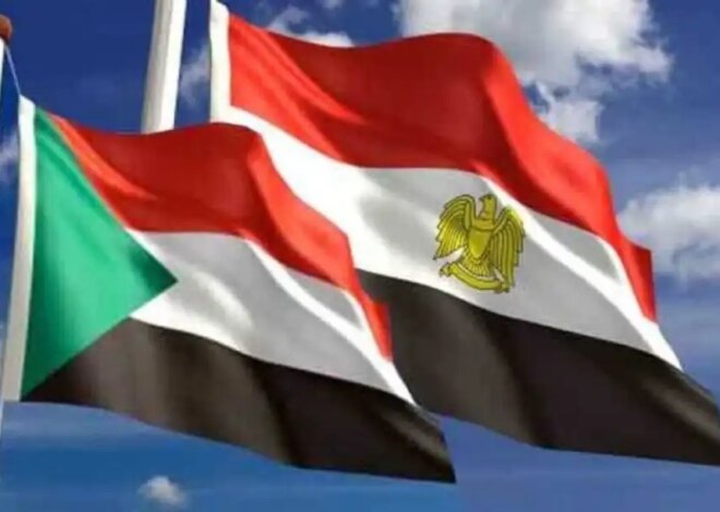 Egyptian authorities question Sudanese co-pilot over alleged drug possession – Middle East Monitor