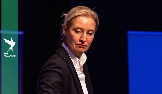 Germany’s far-right AfD rocked by major cyberattack