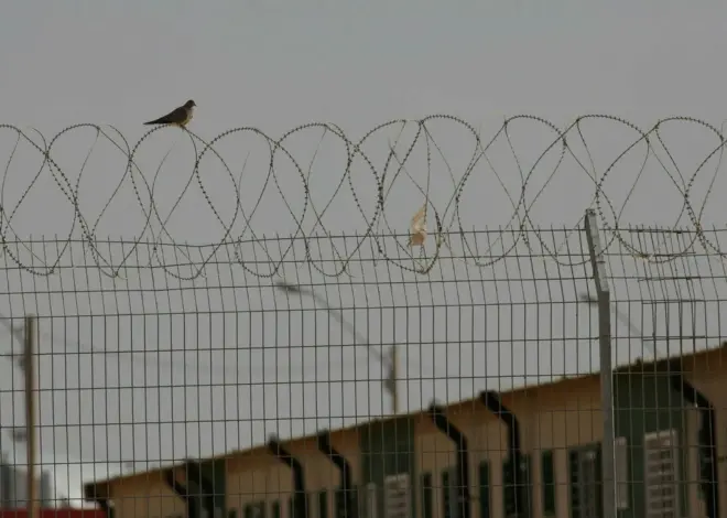 This Is What Happens Inside Israeli Torture Camps.