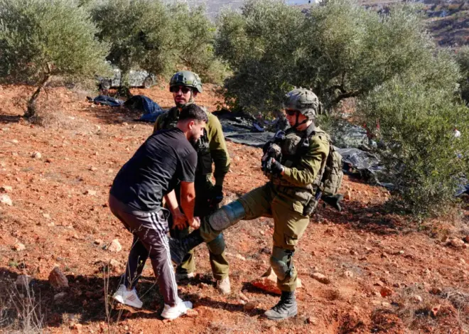 Israeli occupiers injure 16 Palestinians, burn 55 olive trees in West Bank attacks – Middle East Monitor