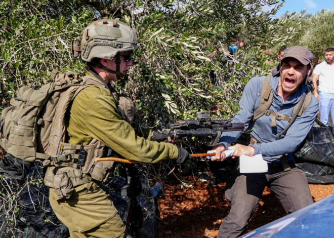 Israeli army detains 11 international activists supporting Palestinian olive harvest in West Bank – Middle East Monitor
