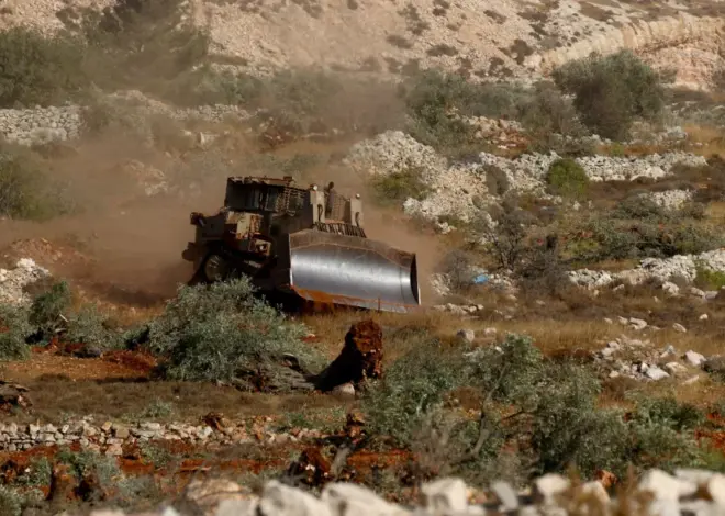 Israeli rabbi permits occupiers to steal Palestinian olive harvest in West Bank – Middle East Monitor