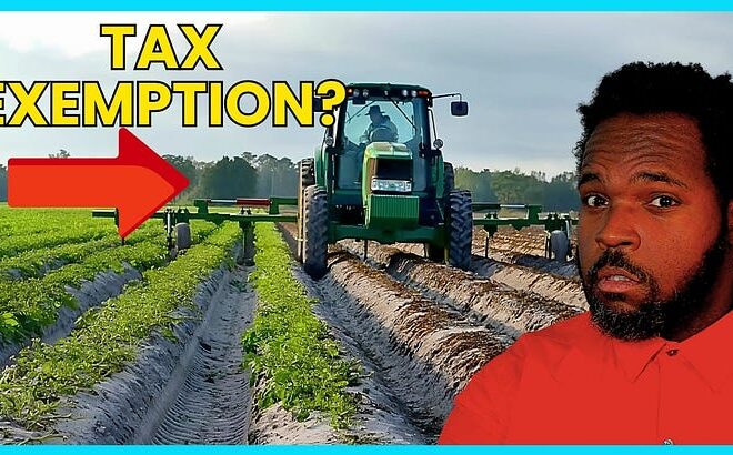 Is FL Amendment 2 Right for Us?
