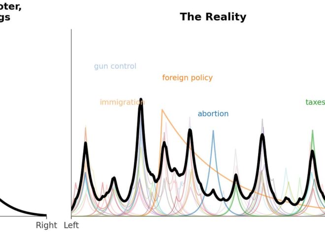 Is your hatred pure? Or 5 things I wish I had always known about politics