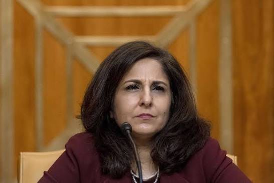 Neera Tanden’s Democratic Party Is Still the Problem