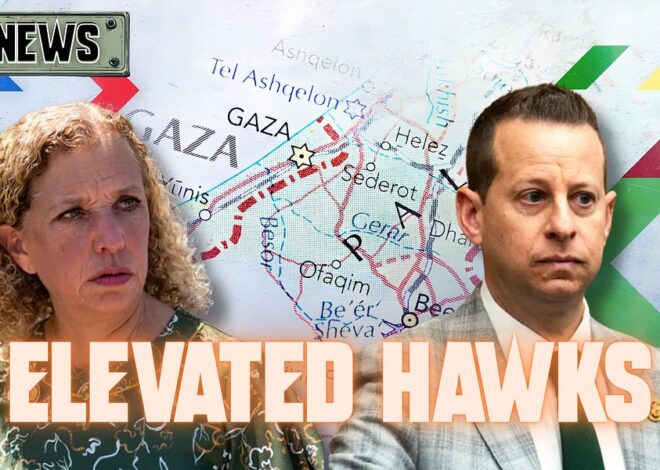 Elevated Hawks!