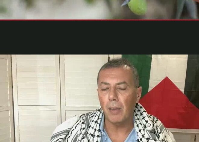 The Palestinian Tree Israel Cannot Kill