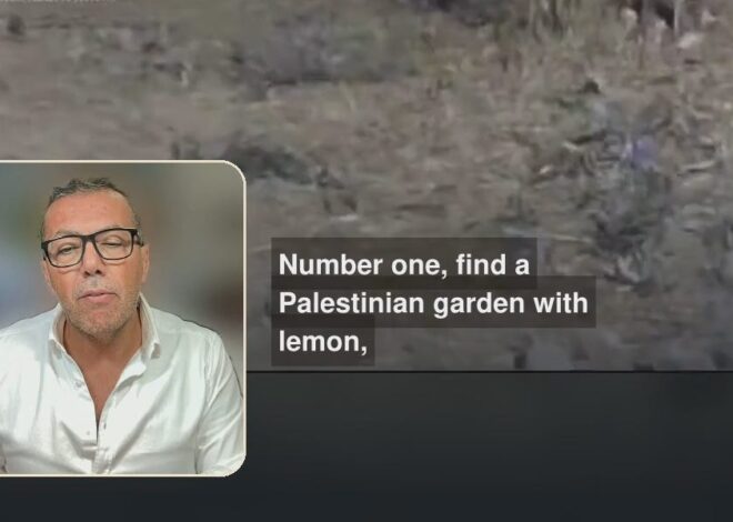 How to Become a Lemon Thief in Three Easy Steps