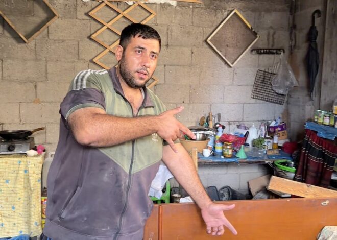 Israel-Backed Militias Terrorize Displaced Families in Gaza