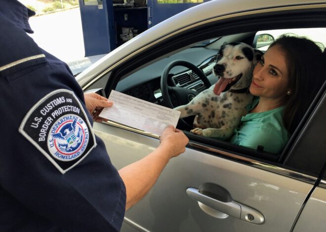 ICE’s Brutality Continues Unabated – by Arturo Dominguez