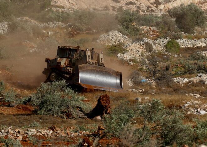 Israeli Rabbi Permits Settlers to Steal Palestinian Olive Harvest